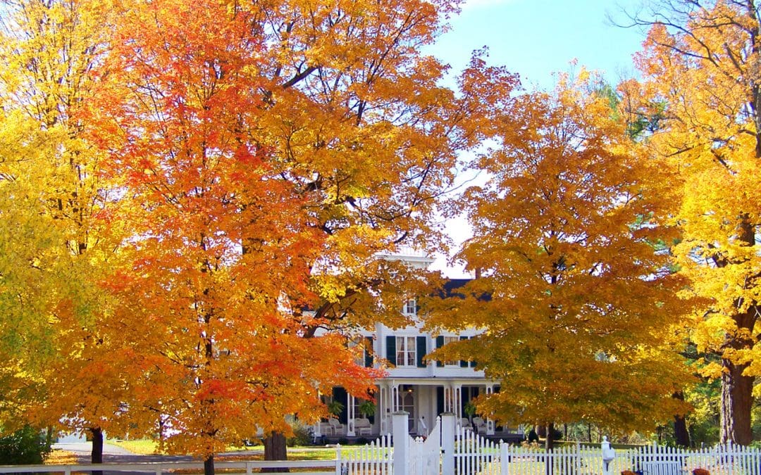 Prepare Your Home for Fall in 6 Easy Ways