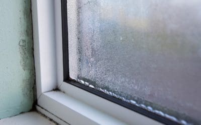 8 Signs of Mold in the Home