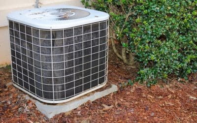 6 Home Maintenance Services You Should Schedule