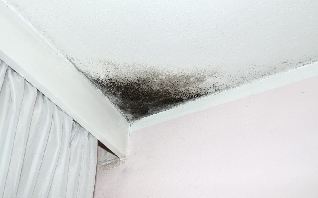 How to Deal with Common Concerns in the Home