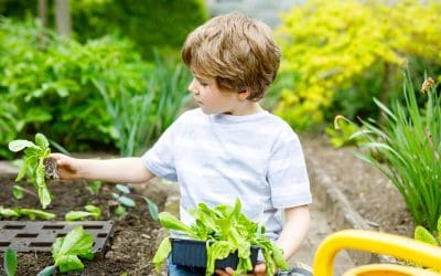 Gardening with Kids