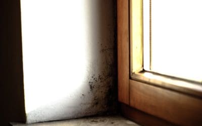 6 Ways to Prevent Mold Growth at Home