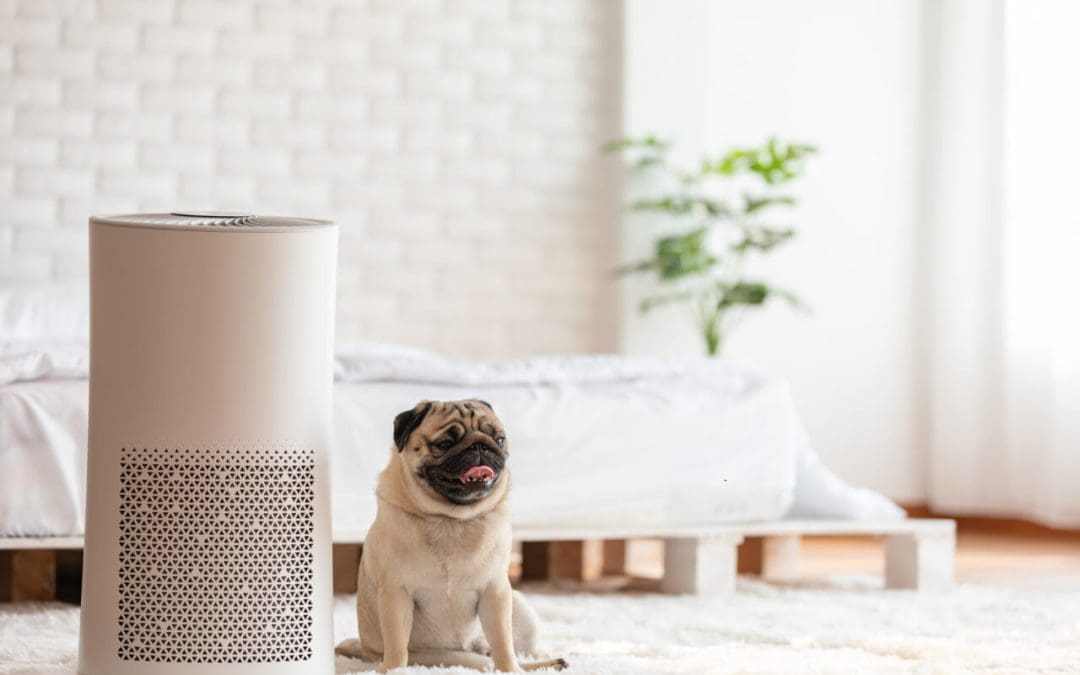 Allergy-Proofing Your Home