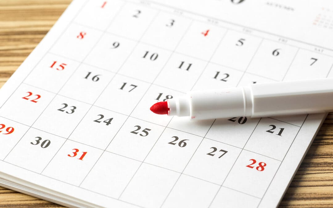 Stop Surprises: Your Ultimate Monthly Home Maintenance Roadmap