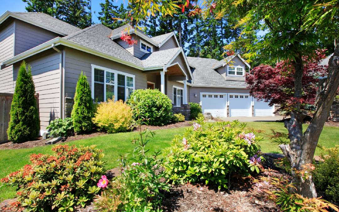 Eco-friendly home improvements